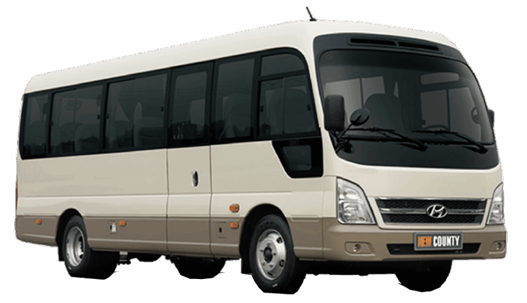 thue-xe-29-cho